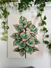 Load image into Gallery viewer, Ruby Ficus Elastica 24x30in Original On Canvas