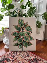 Load image into Gallery viewer, Ruby Ficus Elastica 24x30in Original On Canvas