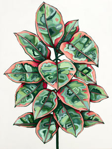 Ruby Ficus Print
