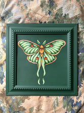 Load image into Gallery viewer, Luna Moth 11x11in Original
