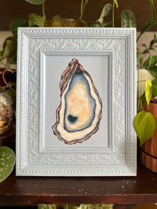 Oyster 8x10in Original