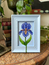 Load image into Gallery viewer, Iris 6.5x8.5in Original

