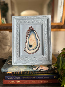 Oyster 8x10in Original