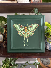 Load image into Gallery viewer, Luna Moth 11x11in Original

