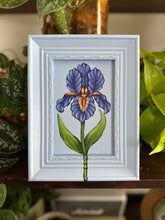 Load image into Gallery viewer, Iris 6.5x8.5in Original

