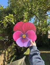Load image into Gallery viewer, Pansy 12x10.5in Original
